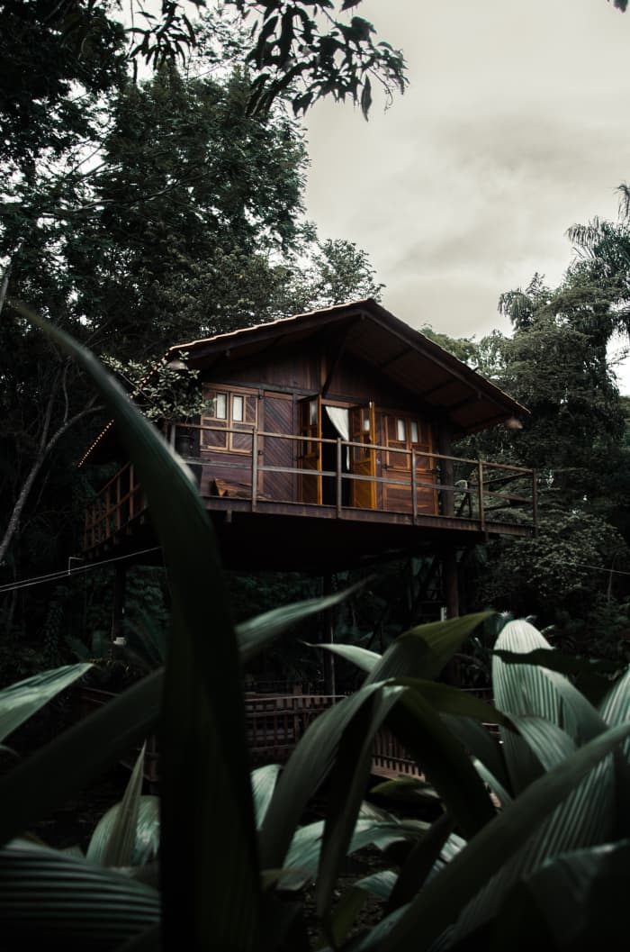 Capricorn is someone who likes to venture off into nature. A place in the woods looks inviting to them.
