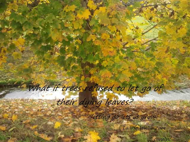 If You Want or Not Want To Let Go - But Sometimes You Must...Why? - Walking Trail in Urtenen-Schönbühl, Switzerland