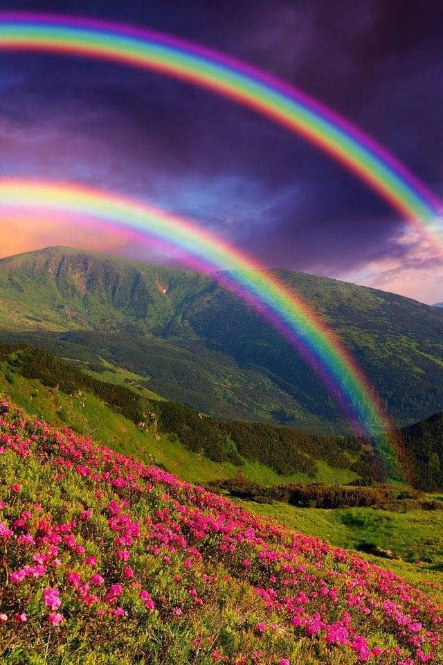 In Hawaii, the first week every morning I saw double rainbows. I was told this was not normal. My trip wasn't normal.