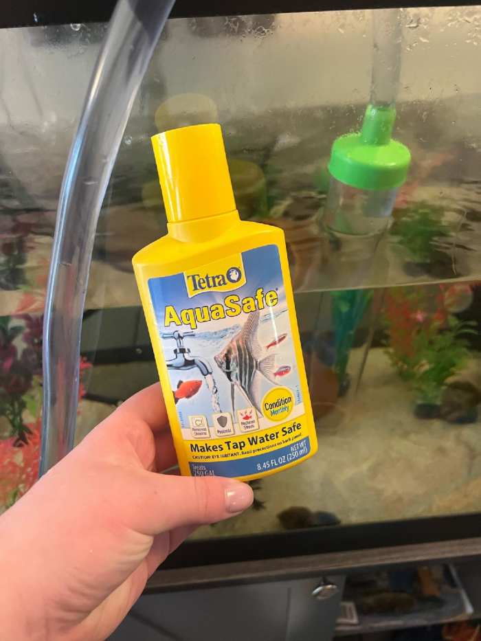 How to Clean an Axolotl Tank PetHelpful