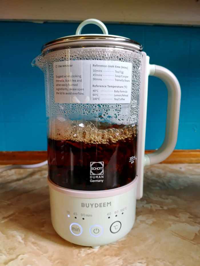 Review of the Buydeem Mini Kettle Cooker Dengarden