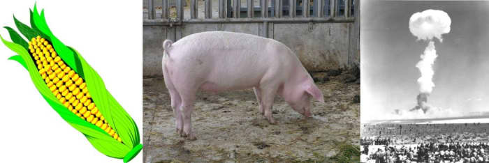 Iowa (pop 3 million) is known for its 13 million acres of corn and 20 million pigs. Its nuclear past is not generally known.
