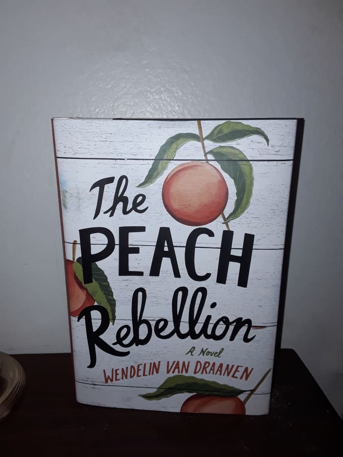 Highly engaging read for teens and young adults with a surprise plan to help the family heal along with some history of post-WW2