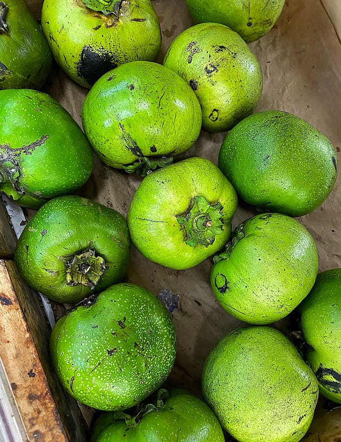 Unripe fruits have a bitter, sharp, astringent taste and are not suitable for eating.