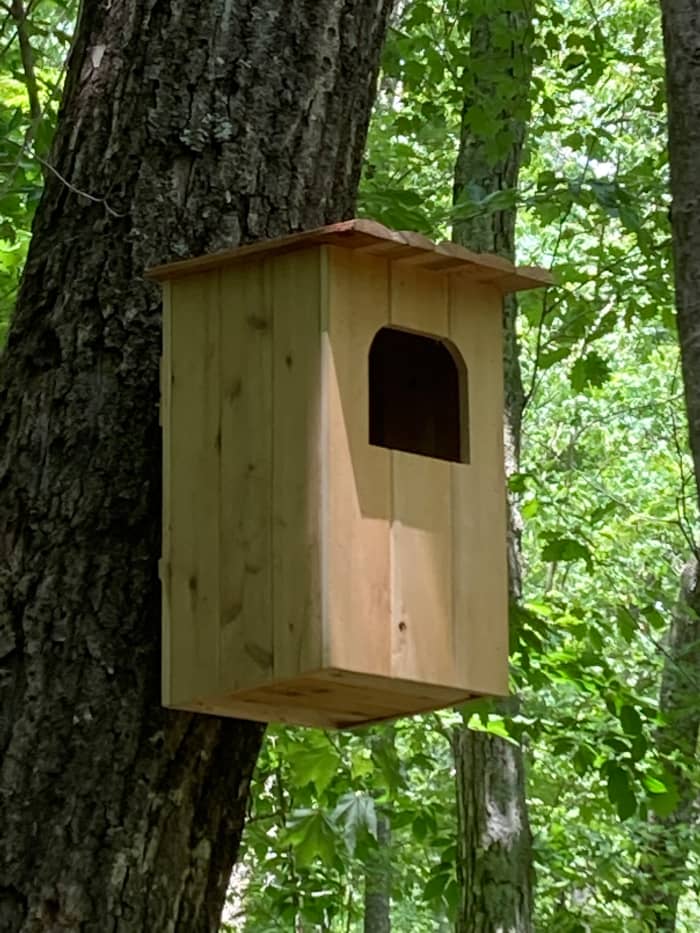 Barred Owl Nest Box Plans How to Build a Barred Owl House