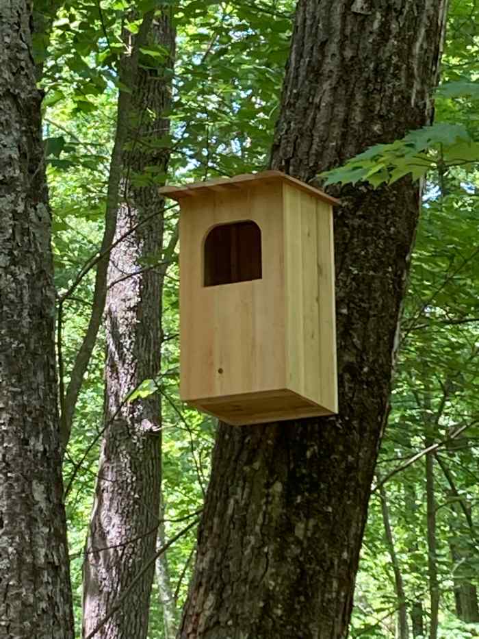 Barred Owl Nest Box Plans How to Build a Barred Owl House