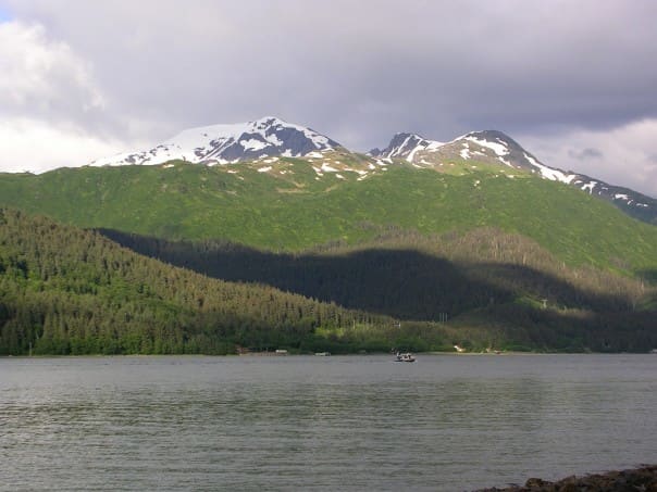 Digital cameras allow you to capture numerous vacation memories for very little cost.