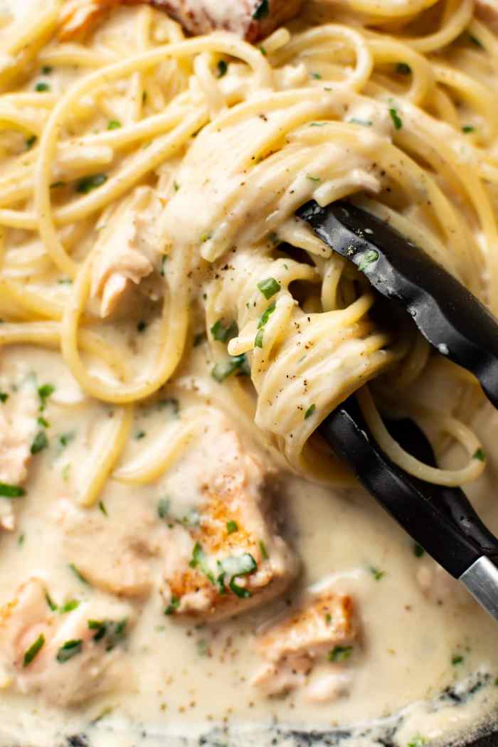 Salmon Alfredo Pasta Recipes for Dinner HubPages