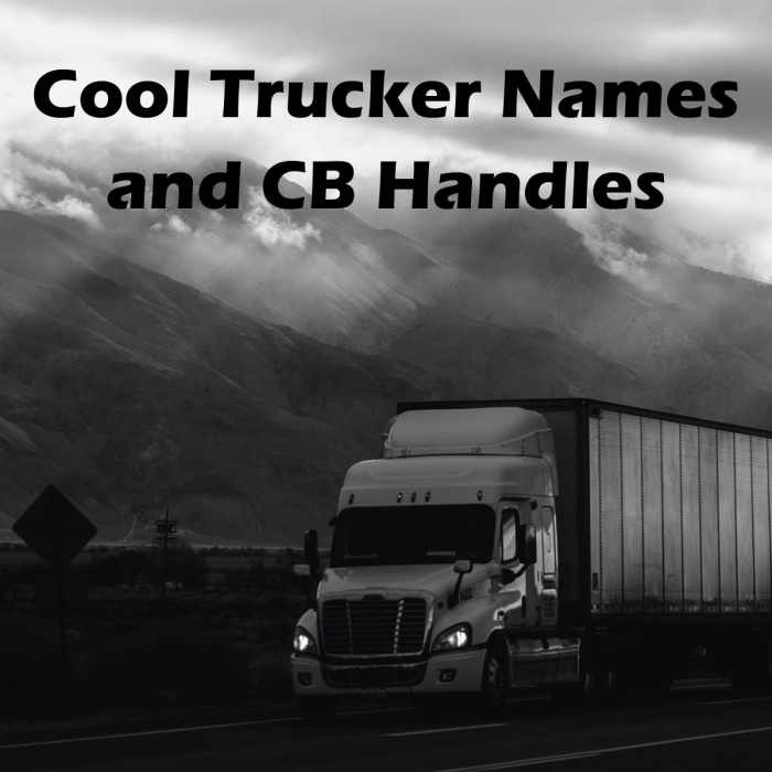 100+ Cool Trucker Names and CB Handles AxleAddict