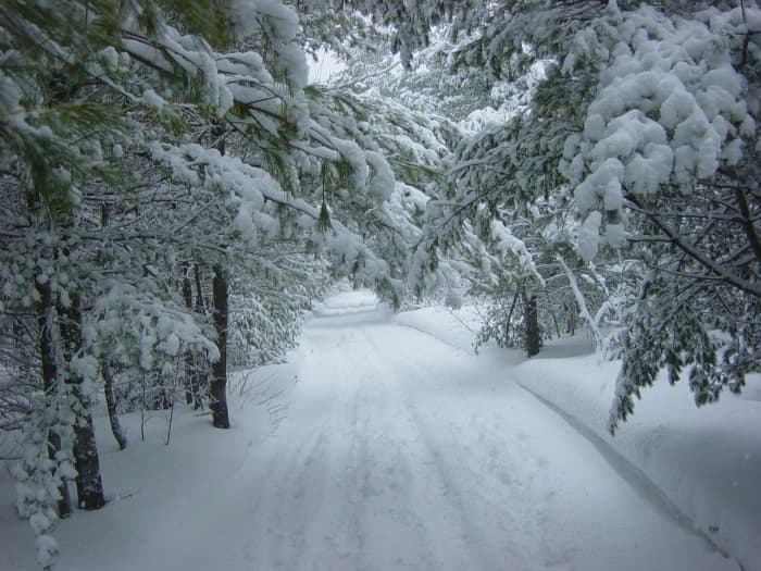 Can you access heat sources in every situation? The best option is wood. In many areas, trees and fallen branches are readily available. Plus chopping wood gives you a good workout and warms you up.