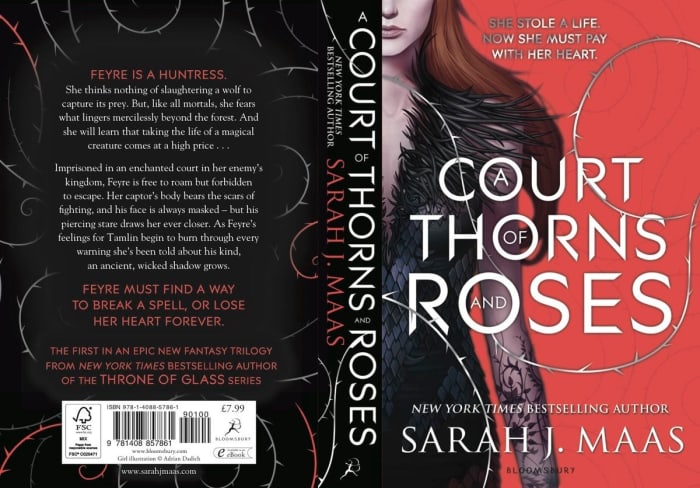 Shara J Mass’s “A Court of Thorns and Roses” is a perfect example of harmful tropes within young adult literature