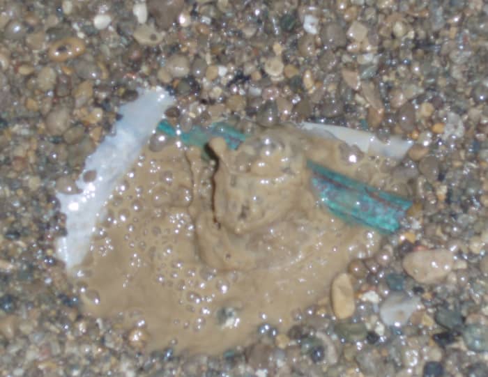This water leak was found under a kitchen floor in Cincinnati, Ohio.