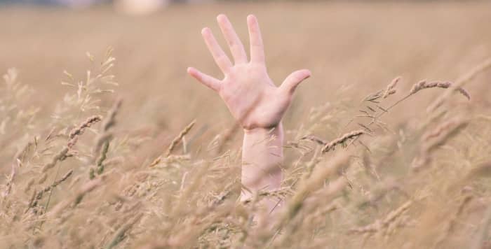 Don't you dare start caressing that wheat like in Gladiator. Clichés can be visual, but the most annoying ones are spoken.