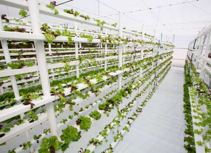 How Does Vertical Farming Help the Environment? - HubPages