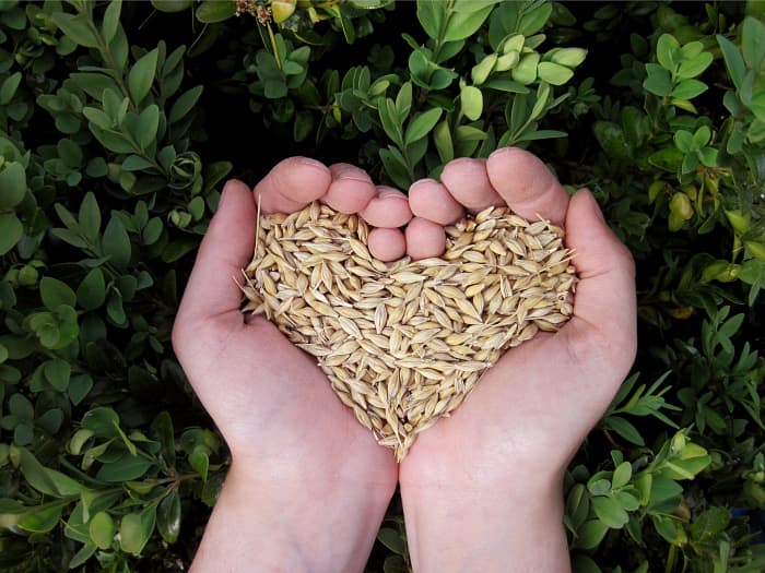 Knowing how to properly store grains and other foods for long term storage, is key to avoiding any spoiling food.