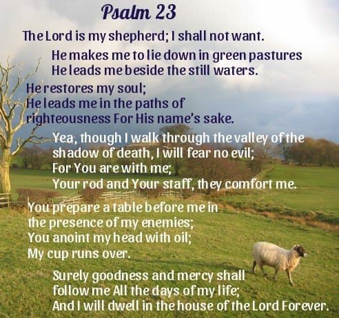 Psalm 23 for Mental and Emotional Wellbeing - RemedyGrove
