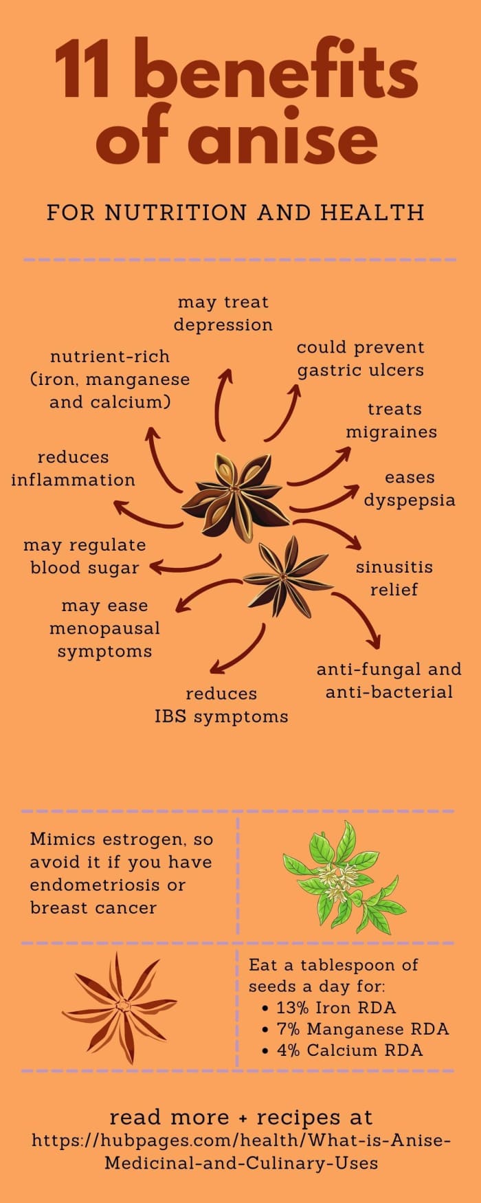 What Is Anise? Medicinal and Culinary Uses HubPages