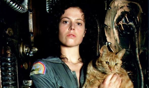 The film would propel Weaver into Hollywood's A-list as well as shattering the stereotypes surrounding female characters