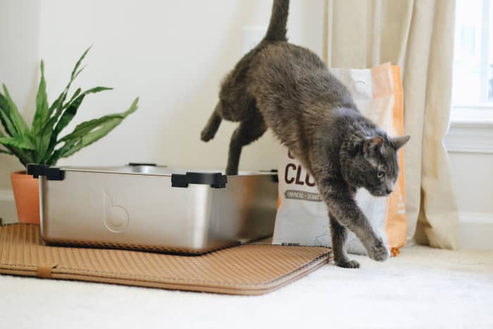 Food in one end and poop out the other. That's the way it works. Have you ever wondered what happens to all the poop that animals do? That's a good question for a biologist to ask!