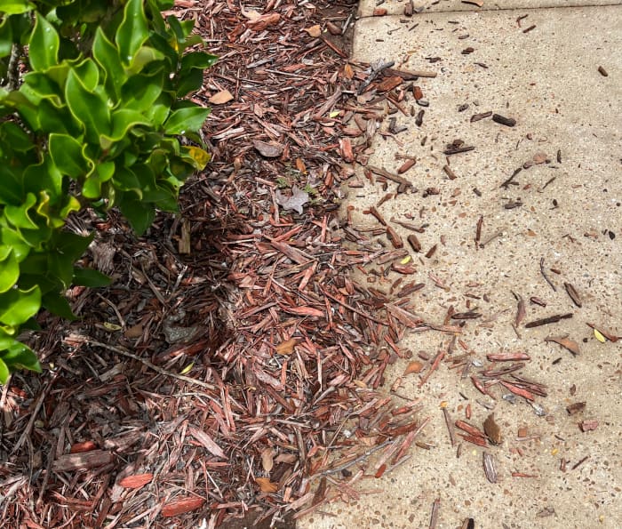 Pine bark nuggets often float out of place in a hard rain, then need to be raked back into place.