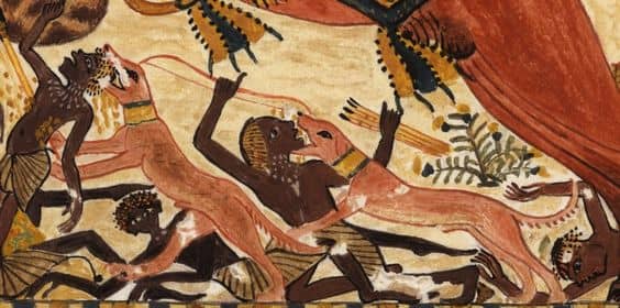 Two of Tutankhamun's Saluki-like hounds savage Nubian foes. Detail from the left side of the Painted Box (Box 21).