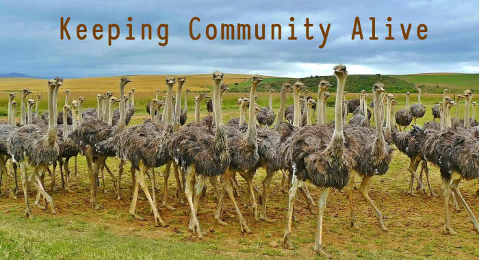 Image by Anja-#pray for ukraine# #helping hands# stop the war from Pixabay (text added via PicFont)