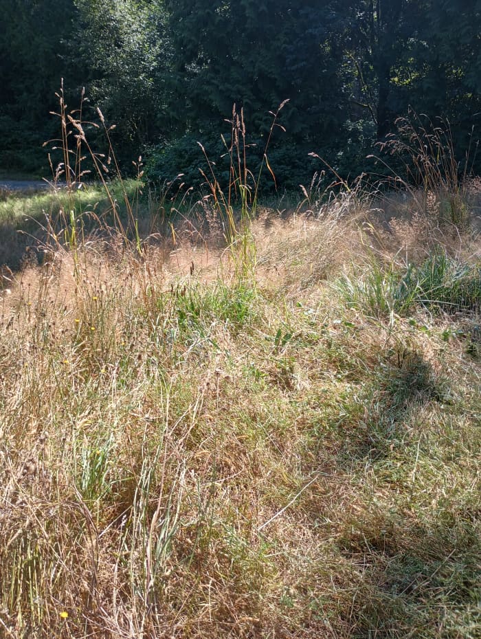 Sometimes you fantasize about just having a small bit of land you can safely camp on.