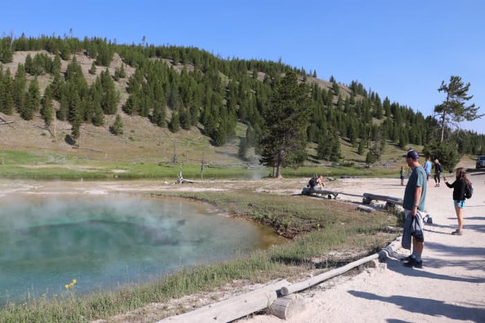 Abundant wildlife and boiling hot springs are the primary reasons dogs are banned from hiking trails and major attractions in Yellowstone.