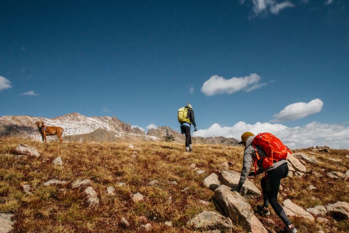 Having the right equipment can make all the difference between having a comfortable or uncomfortable backpacking trip.