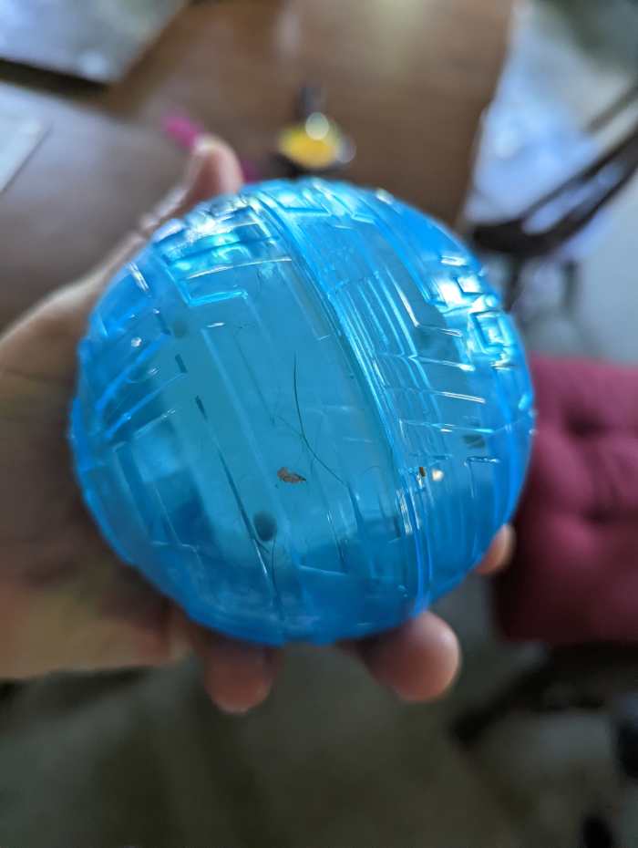 Nerf Dog Ball That Lights up and Wobbles HubPages