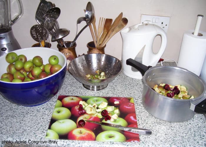 Preparing the fruit. Any stalks go in the culinder, which will be used to collect the sieved pips, stones and skins later. These can be added to a garden's compost heap.