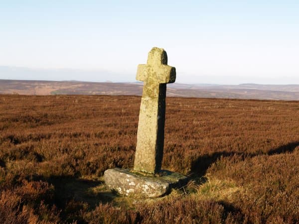 Little Ralph Cross on the high moors offers no shelter - unless you're a small creature - but acts as a useful waymarker.