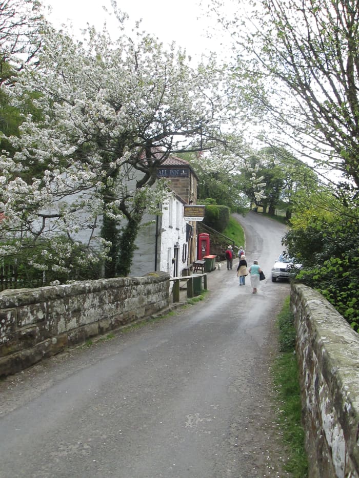 A look back from the bridge towards the steep bank (25% or 1 in 4) that leads back to Goathland.- that climb left past the Birch Hall Inn is pretty steep (1:4). Fortify yourself! first