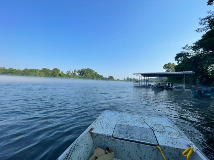 Fishing Guide for Arkansas' White River - SkyAboveUs