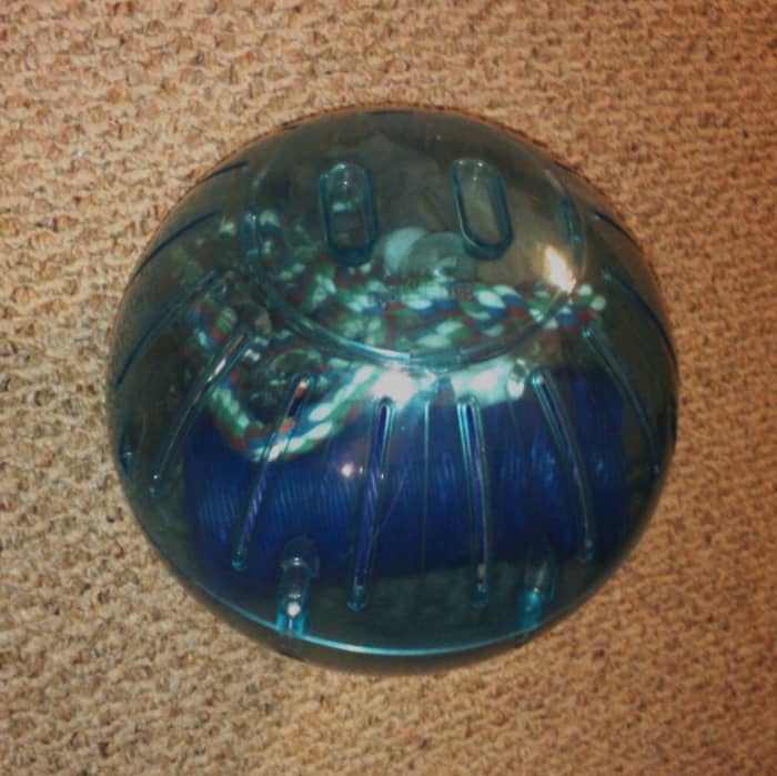 Exercise balls and toys make cleaning time fun. This one also makes a useful toy bin!