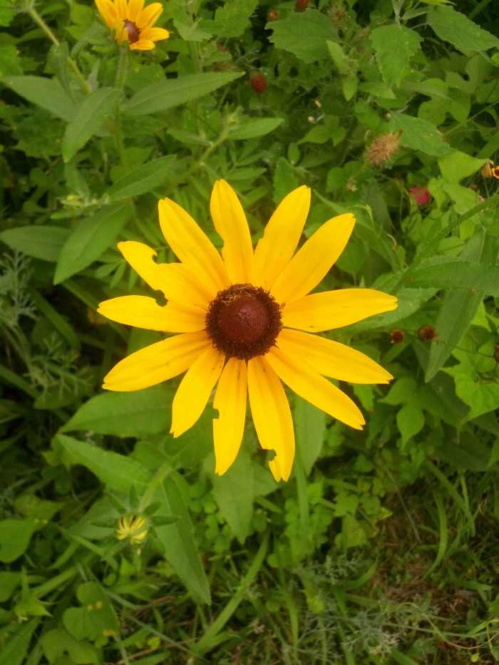 How To Buy Or Sell Art Prints And Photos Online Fine Art America and