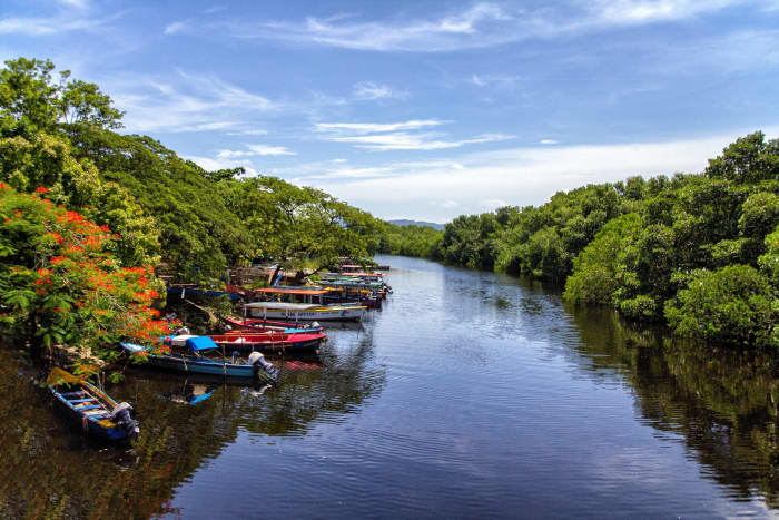 Here are 15 activities you can do with your children in Jamaica that create unforgettable experiences.