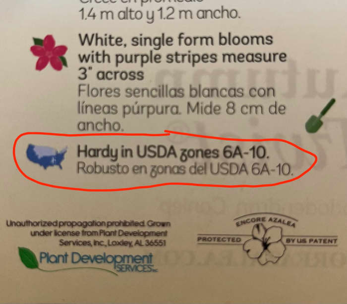 This is part of the tag from an Encore azalea I bought last fall. This is what to look for on the tags if you are not sure a plant is hardy in your zone.