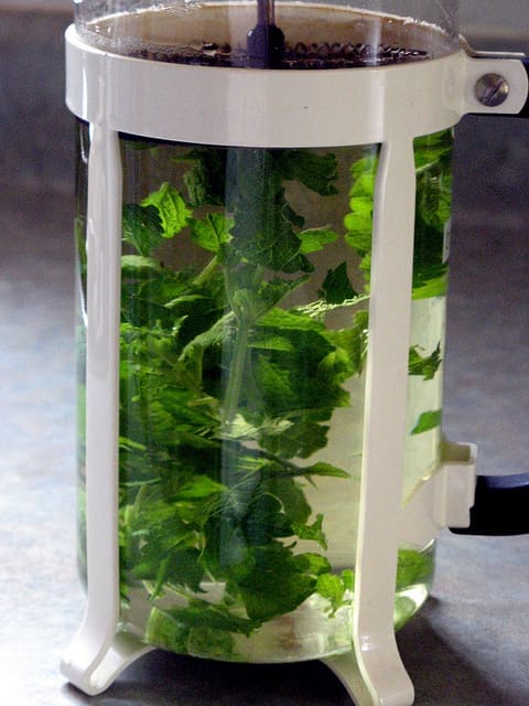 Lemon balm can help ease digestive upset caused by nerves and anxiety.