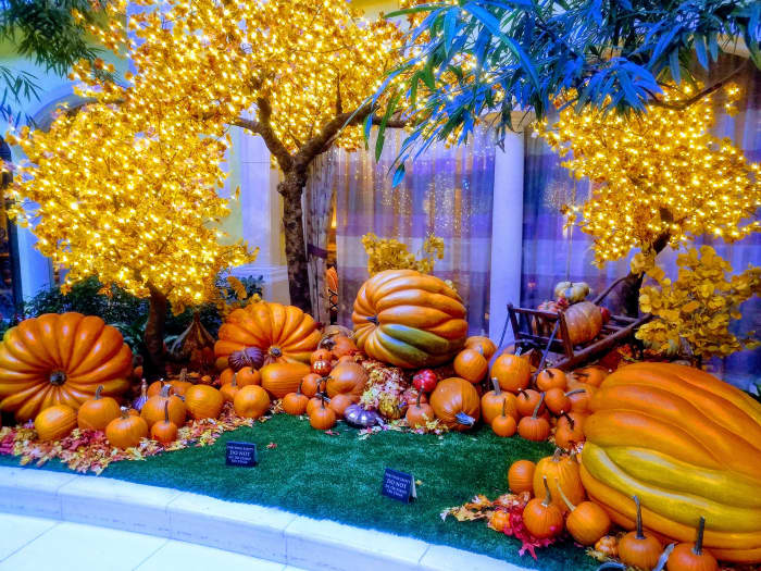 An example of the amazingly vibrant fall decor that can be found throughout the Beau Rivage.