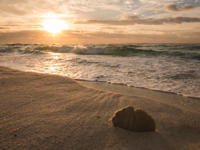 My husband and I fell in love on the beautiful white sand beaches of Gulf Shores, Alabama. To me, there's not a more beautiful beach! Visit in September through November when tourism dies down a bit and the temperatures are more moderate.