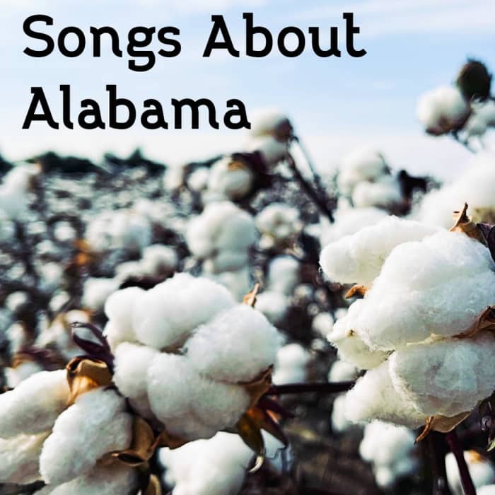 Alabama is known as the Cotton State because of the importance of the crop to the state's economy. Historically, of course, this came at an enormous human cost. Although cotton is no longer king in Alabama, it is still a very important crop.