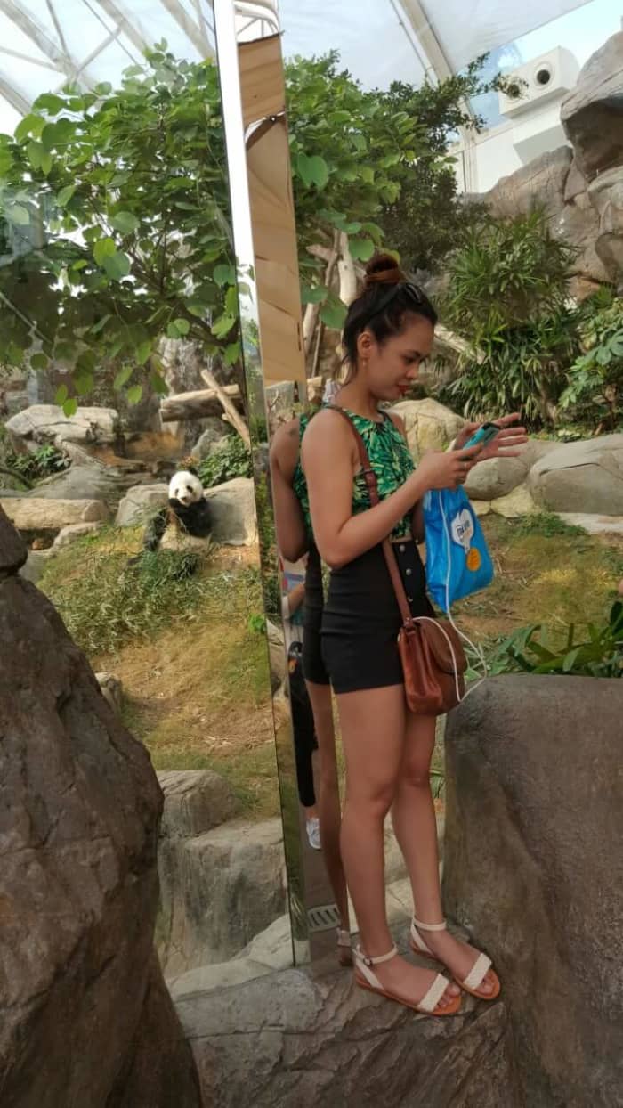 HK Ocean Park is a valued destination where many residents have cherished childhood memories.It was my first time seeing a panda, and it was a truly amazing experience.I suppose this is the nicest thing I loved when I was in Hong Kong Ocean Park.