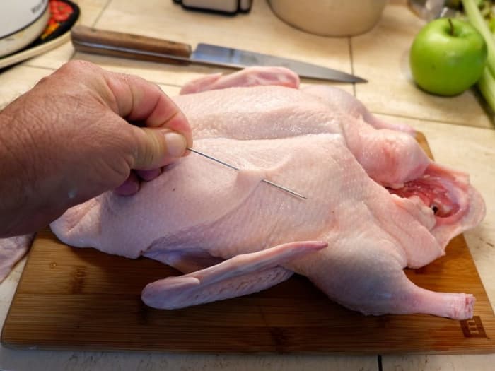 Duck is a novel protein source for most dogs. If your dog has been eating duck you need to search for something else.