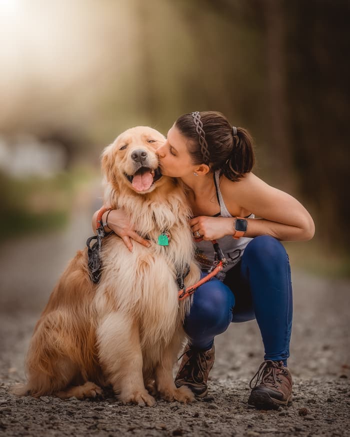 Probiotics are live microorganisms that live mostly in your dog's gastrointestinal tract but range throughout the body's organs.