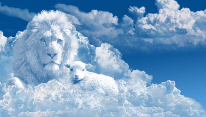 The Lamb is described as "the Lion of the tribe of Juda" (Revelation 5:5-6).