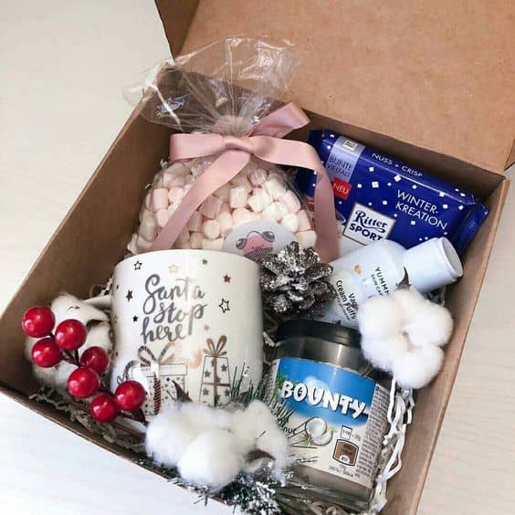 75+ DIY Christmas Gift Basket Ideas for Women Holidappy