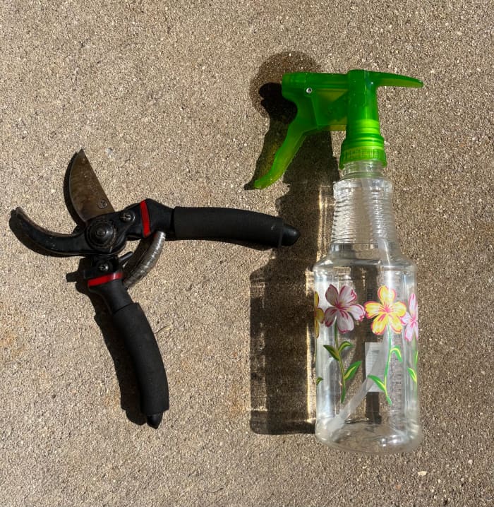 I use this little spray bottle filled with 70% isopropyl alcohol (common rubbing alcohol) to spray my pruners, loppers, and saws after each use, before moving on to another plant or tree.