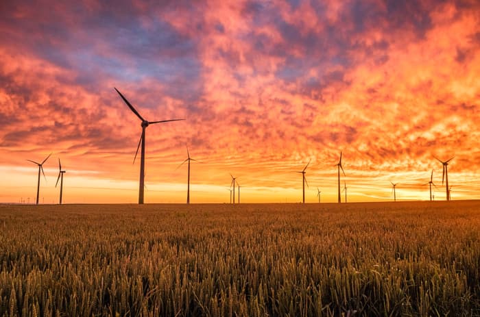 Wind turbines are a promising source of green energy that can reduce dependence on fossil fuels. However, they are expensive upfront, noisy, and the blades kill large numbers of birds and bats. The wind is also not always consistent or reliable.