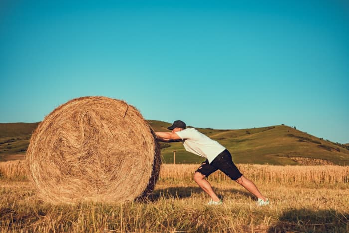 Man puts effort in pushing a heavy bale of hay. For long-term success, you might want to follow your effort instead of your passion.
